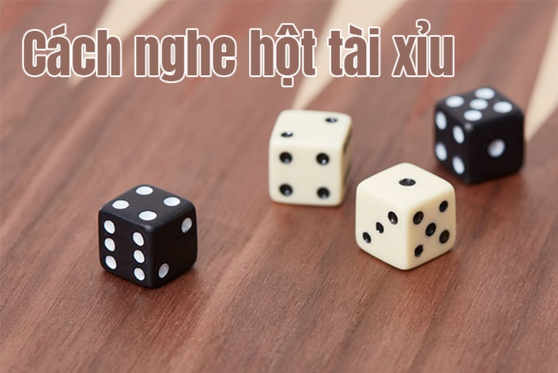 Chia sẻ cách nghe hột tài xỉu siêu hiệu quả từ cao thủ 8 Dân chơi cá cược chuyên nghiệp nghe hột tài xỉu ra sao?