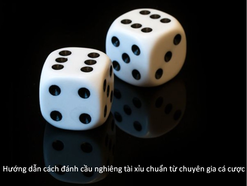 Hướng dẫn cách đánh cầu nghiêng tài xỉu hiệu quả nhất 2025 6 Hướng dẫn cách đánh cầu nghiêng tài xỉu chuẩn từ chuyên gia cá cược